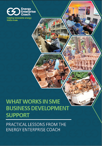 What Works in SME Business Development Support - Practical Lessons from the Energy Enterprise Coach (PDF)